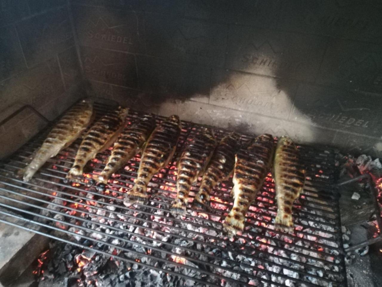 Apartment Bozic Vrbovsko Kültér fotó